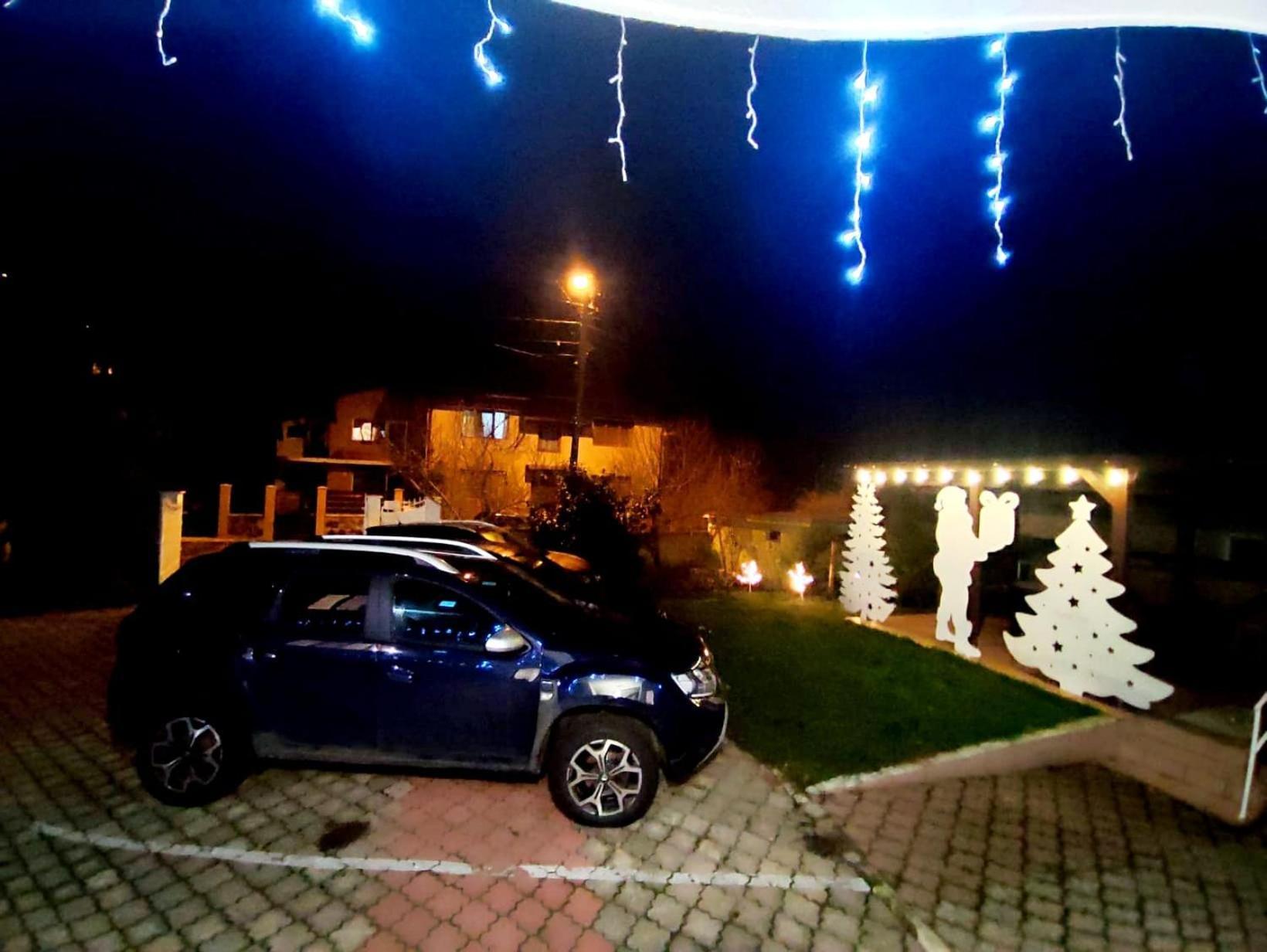 Pensiune Forest Park Baia Mare Exterior foto