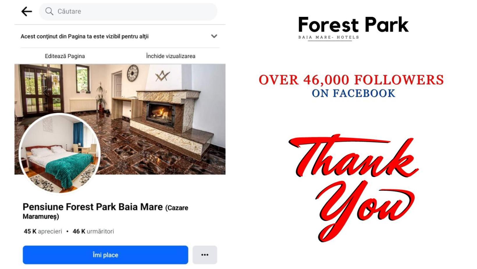 Pensiune Forest Park Baia Mare Exterior foto