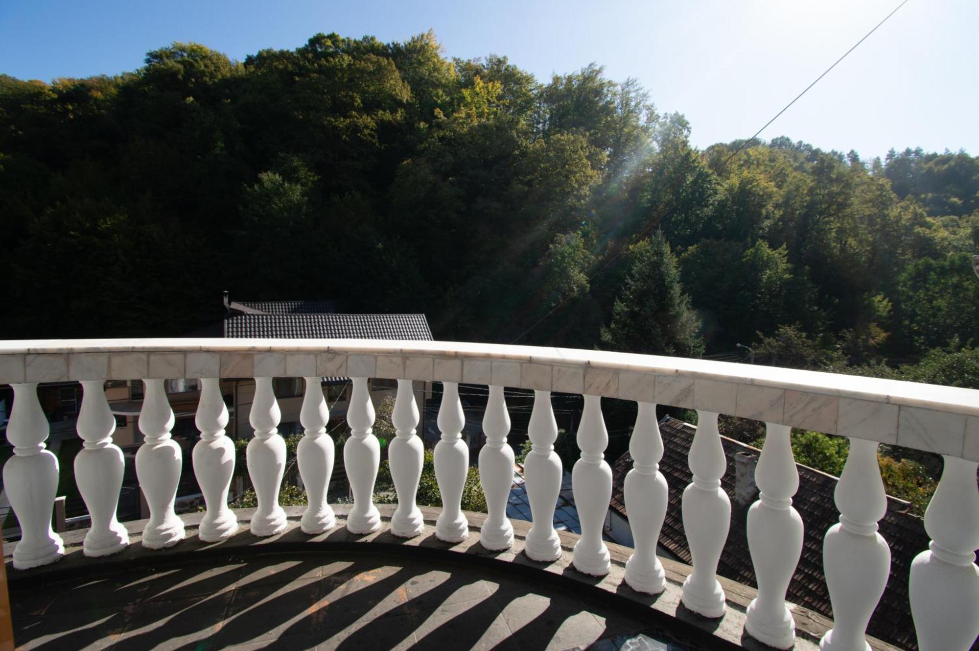 Pensiune Forest Park Baia Mare Exterior foto